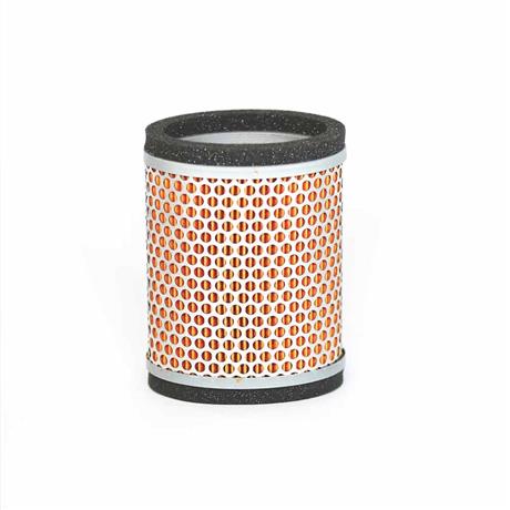 T2202450 Air Filter